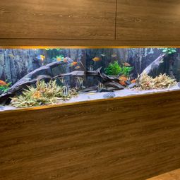 Indbygget akvarie på hotel